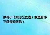 家有小飞蛾怎么处理（家里有小飞蛾是如何除）