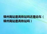 锦州南站是高铁站吗还是动车（锦州南站是高铁站吗）