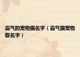 霸气的宠物猫名字（霸气猫宠物取名字）