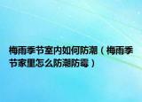 梅雨季节室内如何防潮（梅雨季节家里怎么防潮防霉）