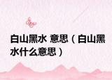 白山黑水 意思（白山黑水什么意思）