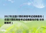 2017年全国计算机等级考试成绩查询（全国计算机等级考试成绩查询步骤 快来看看吧）