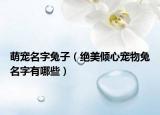 萌宠名字兔子（绝美倾心宠物兔名字有哪些）