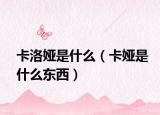 卡洛娅是什么（卡娅是什么东西）