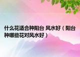 什么花适合种阳台 风水好（阳台种哪些花对风水好）