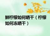 鲜柠檬如何晒干（柠檬如何冻晒干）