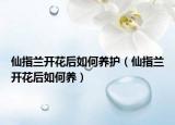 仙指兰开花后如何养护（仙指兰开花后如何养）