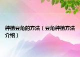 种植豆角的方法（豆角种植方法介绍）