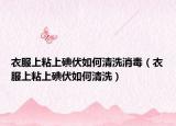 衣服上粘上碘伏如何清洗消毒（衣服上粘上碘伏如何清洗）