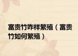 富贵竹咋样繁殖（富贵竹如何繁殖）