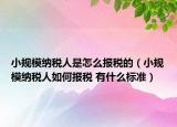 小规模纳税人是怎么报税的（小规模纳税人如何报税 有什么标准）