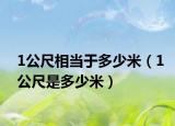 1公尺相当于多少米（1公尺是多少米）