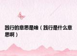 践行的意思是啥（践行是什么意思啊）