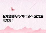 金龙鱼能吃吗?为什么?（金龙鱼能吃吗）