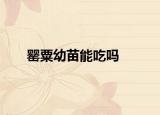 罂粟幼苗能吃吗