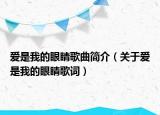 爱是我的眼睛歌曲简介（关于爱是我的眼睛歌词）