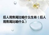 后人用焦尾比喻什么生肖（后人用焦尾比喻什么）