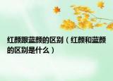 红颜跟蓝颜的区别（红颜和蓝颜的区别是什么）