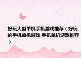 好玩大型单机手机游戏推荐（好玩的手机单机游戏 手机单机游戏推荐）