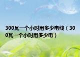 300瓦一个小时用多少电线（300瓦一个小时用多少电）