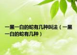 一黑一白的蛇有几种叫法（一黑一白的蛇有几种）