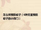 怎么样预防蚊子（6种无害预防蚊子的小窍门）
