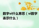数字vi什么意思（vi数字表示什么）