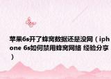 苹果6s开了蜂窝数据还是没网（iphone 6s如何禁用蜂窝网络 经验分享）