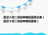 武汉十月二月份种哪些蔬菜水果（武汉十月二月份种哪些蔬菜）