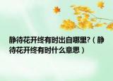 静待花开终有时出自哪里?（静待花开终有时什么意思）