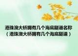 港珠澳大桥拥有几个海底隧道名称（港珠澳大桥拥有几个海底隧道）