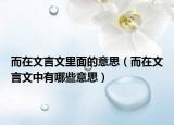 而在文言文里面的意思（而在文言文中有哪些意思）