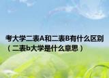 考大学二表A和二表B有什么区别（二表b大学是什么意思）