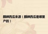 麒麟西瓜来源（麒麟西瓜是哪里产的）