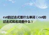 cut的过去式是什么单词（cut的过去式和名词是什么）