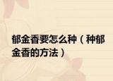郁金香要怎么种（种郁金香的方法）