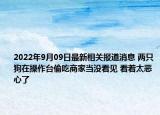 2022年9月09日最新相关报道消息 两只狗在操作台偷吃商家当没看见 看着太恶心了