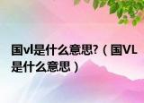 国vl是什么意思?（国VL是什么意思）