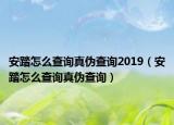 安踏怎么查询真伪查询2019（安踏怎么查询真伪查询）