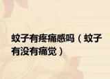 蚊子有疼痛感吗（蚊子有没有痛觉）