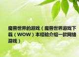 魔兽世界的游戏（魔兽世界游戏下载（WOW）本经验介绍一款网络游戏）