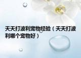 天天打波利宠物经验（天天打波利哪个宠物好）