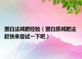 蛋白法减肥经验（蛋白质减肥法 赶快来尝试一下吧）