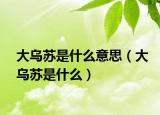 大乌苏是什么意思（大乌苏是什么）
