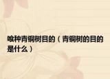 喰种青铜树目的（青铜树的目的是什么）