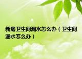 新房卫生间漏水怎么办（卫生间漏水怎么办）