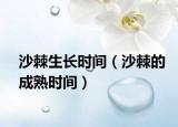 沙棘生长时间（沙棘的成熟时间）