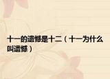 十一的遗憾是十二（十一为什么叫遗憾）