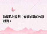 油菜几时收割（安徽油菜的收割时间）