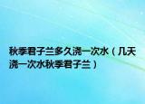 秋季君子兰多久浇一次水（几天浇一次水秋季君子兰）